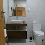 招待所 Barrinha 普拉亚德米拉