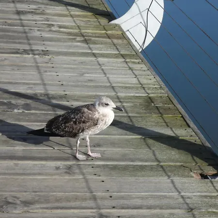 Barrinha Praia de Mira