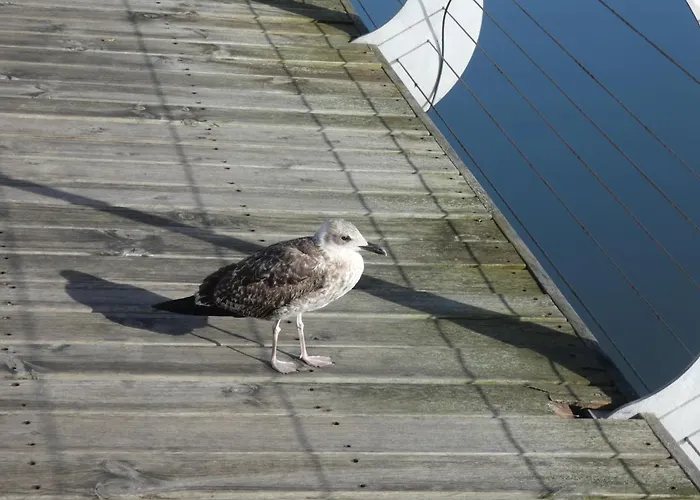 Barrinha Praia de Mira